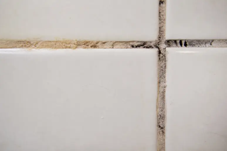 Joints de carrelage présentant des zones jaunies et des taches noires de moisissure.