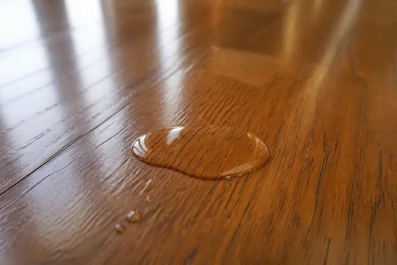 Goutte d'eau perlant sur la surface d'un parquet, signe distinctif pour le nettoyage des parquets.